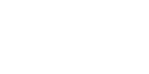 SYNOT TIP  LV 500x500_white